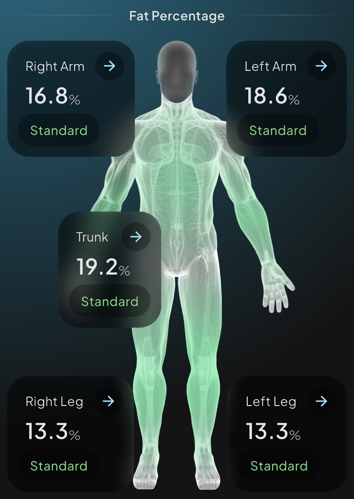 Body composition scan results